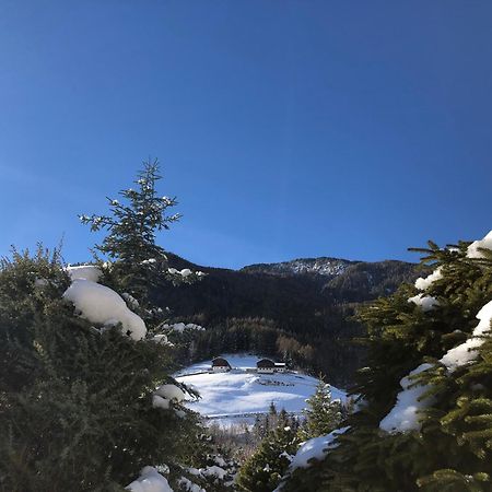 カンポ・トゥーレスResidenz Feldmuehle Unterhalb Der Burg Taufersアパートメント エクステリア 写真